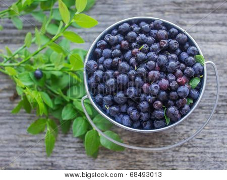 ripe blueberries