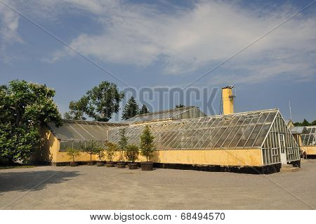 Old Greenhouse