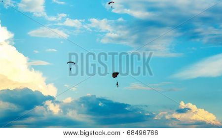 Unidentified Skydivers, Parachutist On Blue Sky