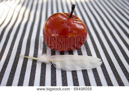 Red apple and feather