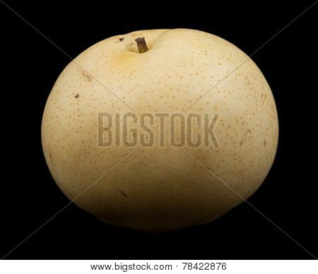 One nashi pear fruit
