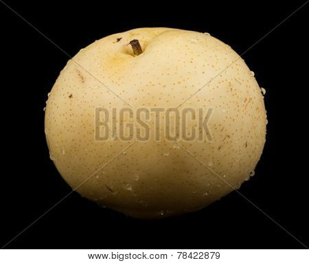 One nashi pear fruit with water drops