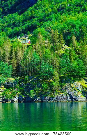 Norwegian House Hytte In The Mountains