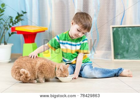 child boy feeding red cat