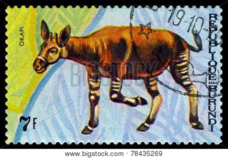 Vintage  Postage Stamp. Animals Burundi, Okapi.