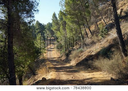 Dirt Road