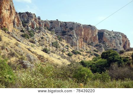 Nahal Amud
