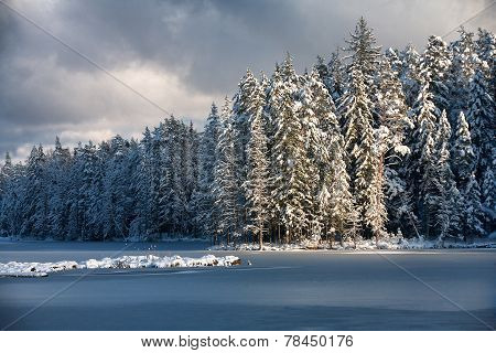 Lake In The Ice And Forest In Winter