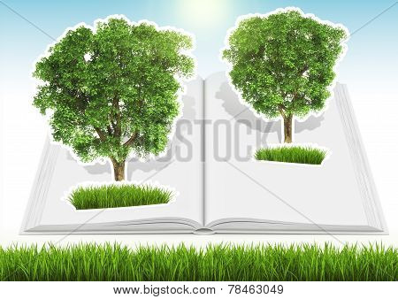 Grown tree in open book with grass and sky