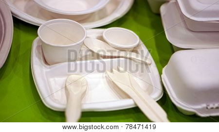 Biodegradable Foam