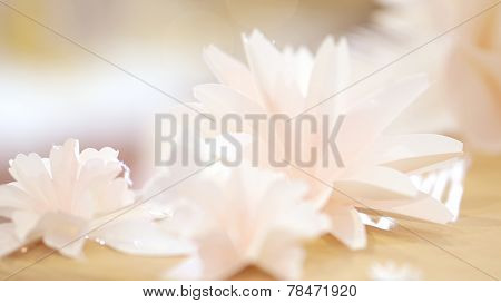 Roses Flower Wedding Valentine Background