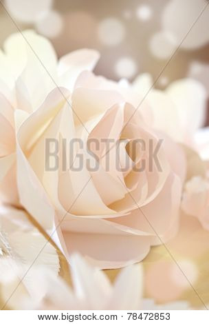 Roses Flower Wedding Valentine Background