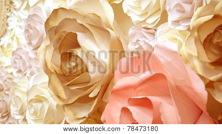 Roses Flower Wedding Valentine Background