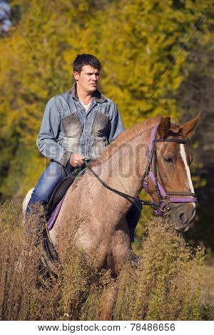horseback riding