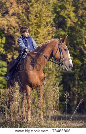 horseback riding