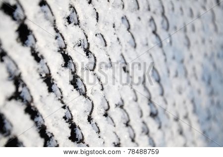Oarfrost On Fence