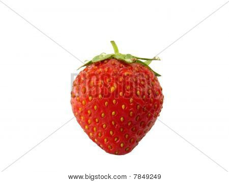 Fresa