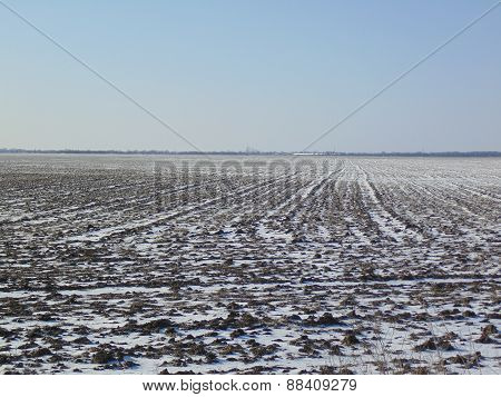 Arable Field