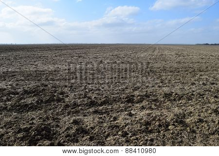 Arable Field