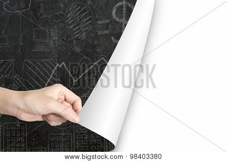 Woman Hand Open Blank White Page Replace Business Doodles