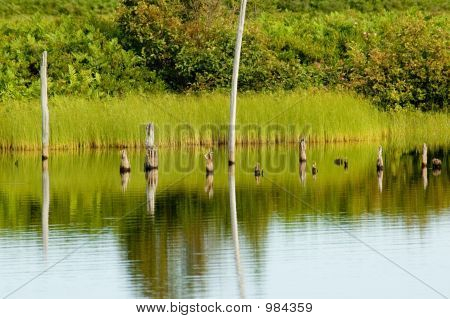 Seney2