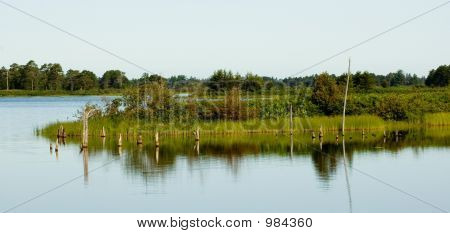 Seney3