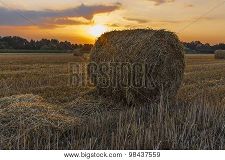Sheaves of hay in the glow of the sunset