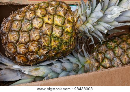 Two Pineapples