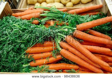 Carrots A Lot From Farmers Market