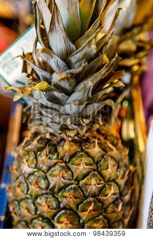 Pineapple Closeup Detail