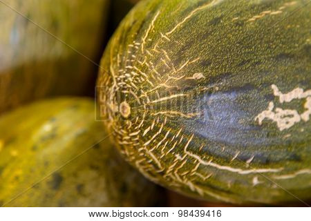 Green Spanish Melon Closeup Detail