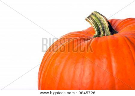 Calabaza copia espacio V2