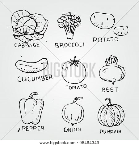 set of vegetables, tomato, cucumber, potato