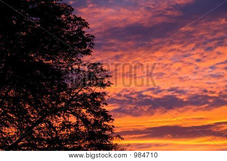 Dawning 09