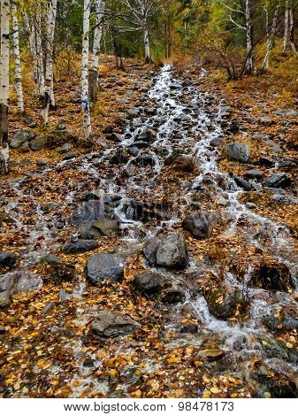 Autumn waterfall flow from a mountain slope

** Note: Shallow depth of field