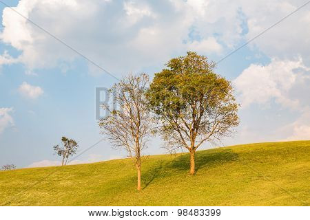 Hill Slope At Doi Samer Dao