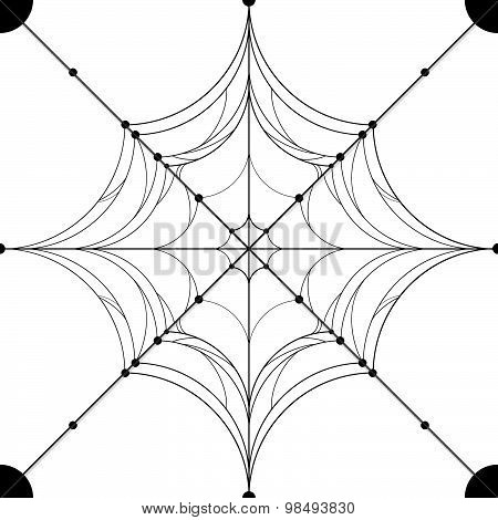 Spirder Web Use For Pattern And Background Isolated On White Background. Vector Illustration.