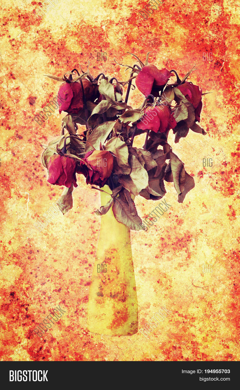 Wither Rose Died Rose Image & Photo (Free Trial) Bigstock