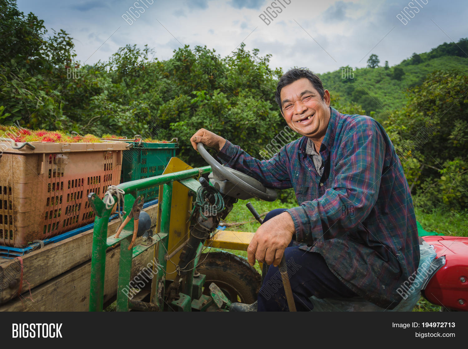 Asian Farmer Driving Image & Photo (Free Trial) Bigstock