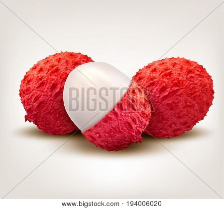 Fresh Lychee fruit background . Vector illustration