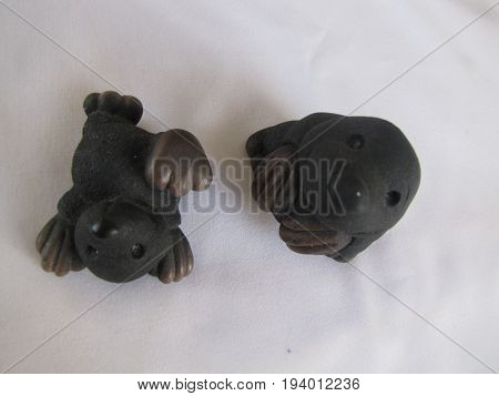 animal MOLE black and white nice cute