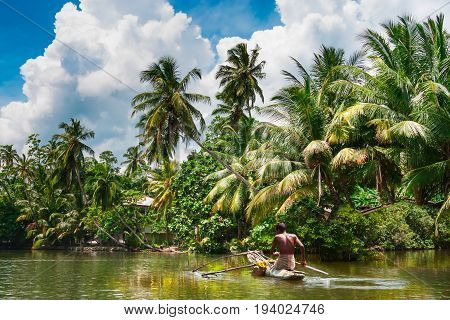 Tropical thickets mangrove forest on the island of Sri Lanka. Traditional fisherman in dugout canoe in Sri Lanka.