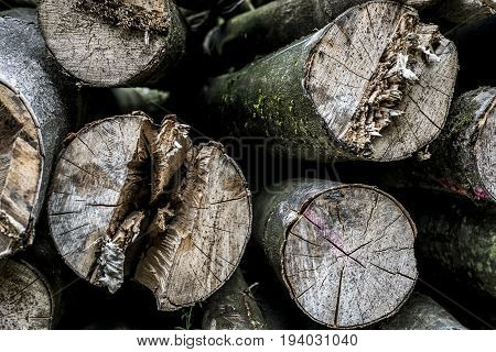 Abstract photo of a pile of natural wooden logs background dry chopped firewood logs ready for winter