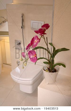 Un bagno classico