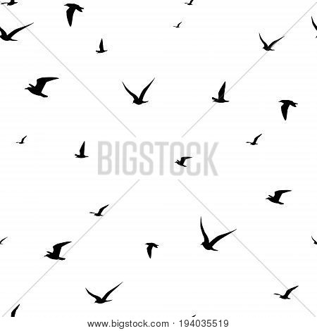 Illustration of seagull silhouette seamless pattern background