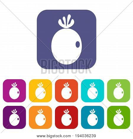 Feijoa fruit icons set vector illustration in flat style In colors red, blue, green and other