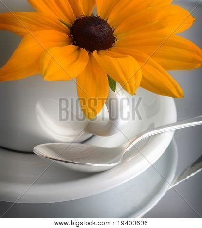 Caffee pohár s květinou