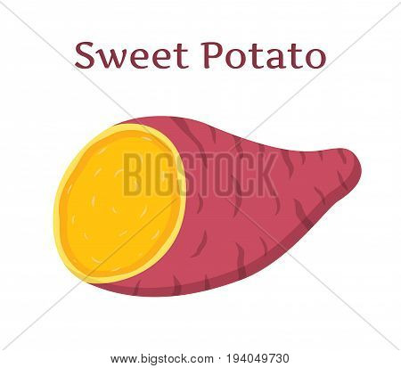 Brown batat, sweet potato. Organic healthy vegetable. Fresh natural root. Made in cartoon flat style