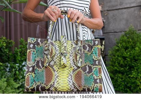 Fashionable woman holding luxury snakeskin python bag. Elegant outfit. Close up of purse in hands of stylish lady. Model posing near the swimming pool.