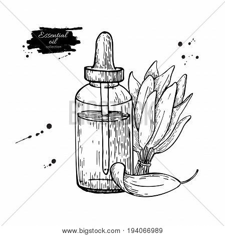 Sage essential oil bottle and sage leaves hand drawn vector illustration. Isolated plant drawing for Aromatherapy treatment, alternative medicine, beauty and spa, cosmetic ingredient.
